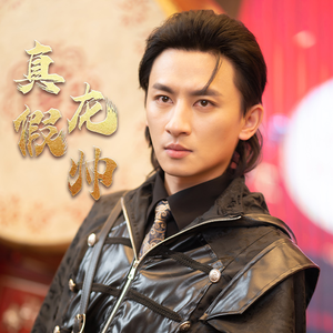 真假龙帅（81集）哪个网站可以看