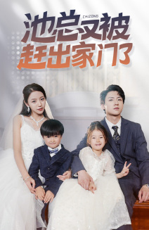 池总又被赶出家门了（72集）短剧上头又好看