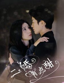 二婚有点甜（88集）在线观看完整版