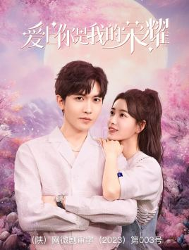 爱上你是我的荣耀（57集）海量资源免费看