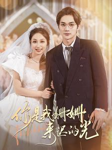 你是我姗姗来迟的光（99集）全剧看到大结局