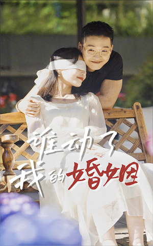 谁动了我的婚姻（24集）精彩的短剧