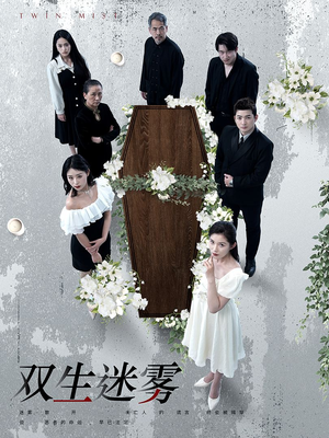 双生迷雾（80集）最新短剧抢先看