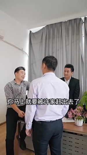 股王废婿（83集）精彩短剧来袭