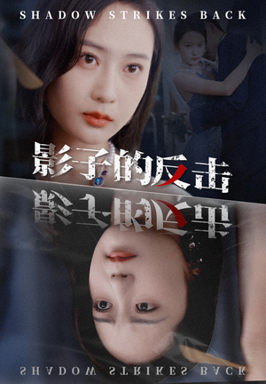 影子的反击（31集）独家资源免费看