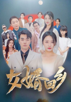 女婿回乡（120集）一口气看完