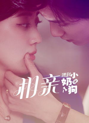 相亲遇到小奶狗（80集）甜宠短剧追到爽