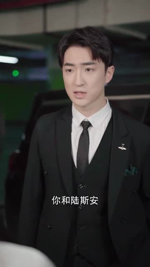 喜欢你的第十年（39集）短剧热播推荐