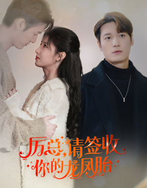 历总，请签收你的龙凤胎（69集）免费版
