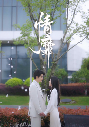 情靡（92集）怎么看全集