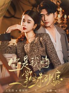 你是我的掌心朱砂痣(80集) 你是我的掌心朱砂痣(80集)直接看到大结局