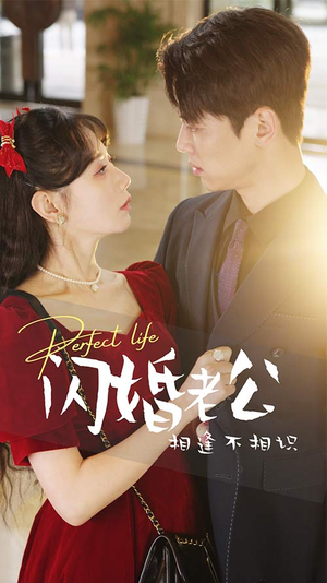 闪婚老公相逢不相识（90集）甜宠短剧追到爽