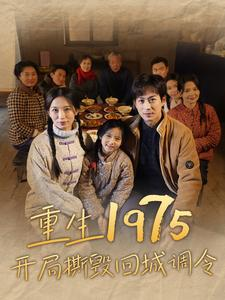 重生1975开局撕毁回城调令（83集）全集下载