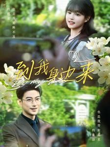 到我身边来（100集）口碑爆棚免费看