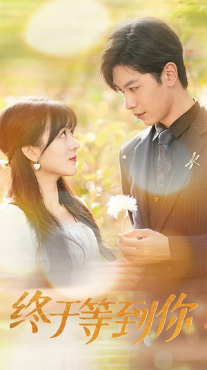 你是我的木槿年华（80集）完整版