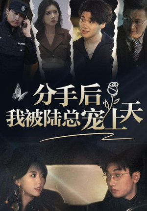 分手后，我被陆总宠上天（76集）在线看到大结局