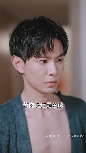 偷不走的爱与光（96集）精彩短剧分享