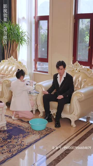 变成猫后我被死对头宠上天（86集）短剧全集免费