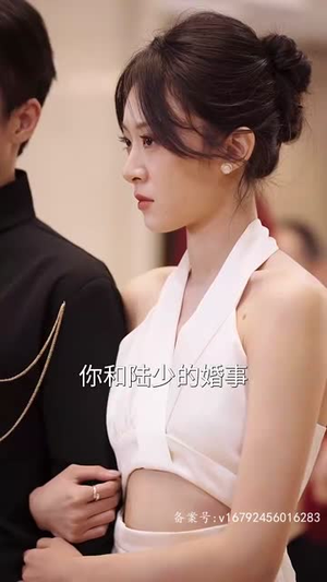 枭龙（60集）在哪个平台看