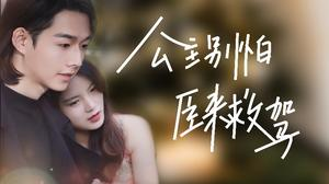 公主别怕，臣来救驾（90集）精彩连连免费看