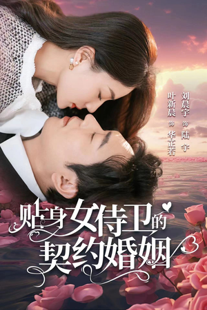 贴身女侍卫的契约婚姻（91集）免费短剧完整版