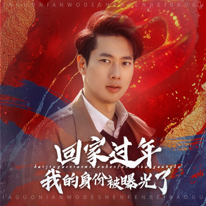 52.回家过年我的身份被曝光了（60集）第32集