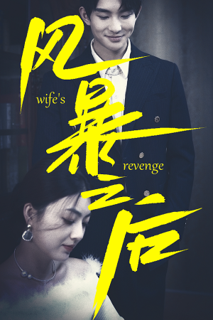 风暴之后（80集）抢先看新短剧