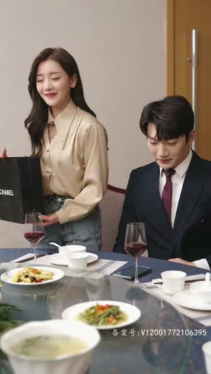 风起时见你（93集）热门爆款短剧