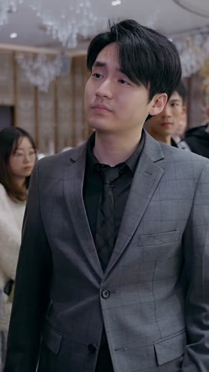 我的巅峰人生（97集）夸克网盘在线看