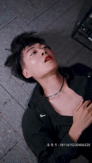 少将大人轻轻宠（100集）网络小短剧