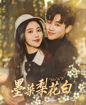 墨染梨花白（86集）全集完整版