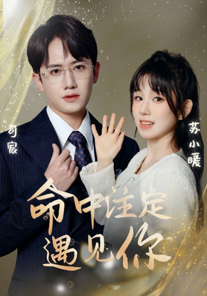 命中注定遇见你（96集）最火爆短剧