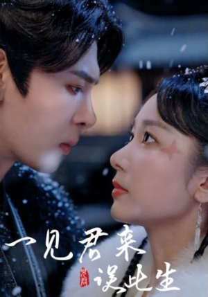 一见君来误此生（95集）好看吗