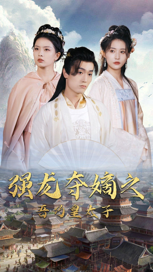 强龙夺嫡之吾乃皇太子（104集）评价怎么样