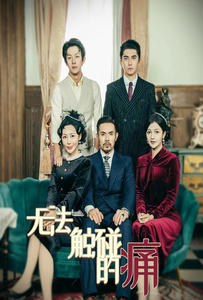 无法触碰的痛（80集）免费短剧推荐