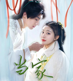 傻子王爷娇宠妃&当家（50集）精彩好看的短剧