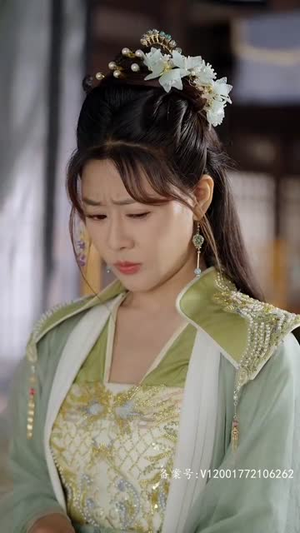 王妃今天休夫了吗(100集) 王妃今天休夫了吗(100集)看过的人都说好