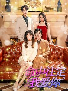 命中注定我爱你（99集）分享好看短剧