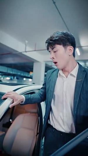 白金瞳（95集）追短剧看全集