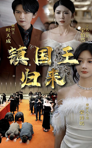 镇国王归来（95集）海量短剧免费看