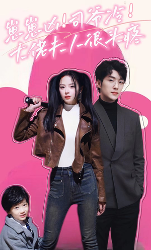 崽崽凶！司爷冷！大佬夫人很头疼（80集）高分推荐免费看