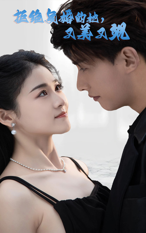 拒绝复婚的她，又美又飒（100集）剧情简介