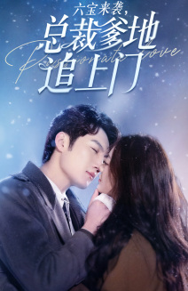 六宝来袭总裁爹地追上门（79集）热播短剧排行榜