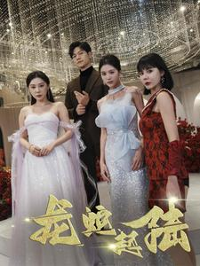 龙蛇起陆（79集）经典老剧免费看