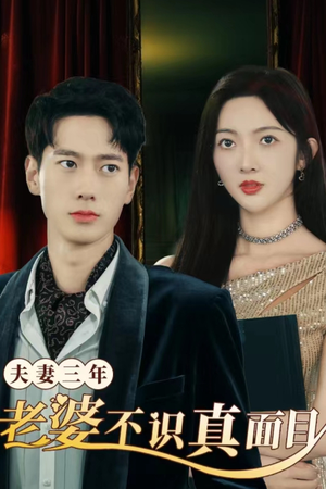 夫妻三年老婆不识真面目（83集）精彩短剧热播