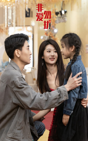 非爱勿扰（92集）超好看的短剧