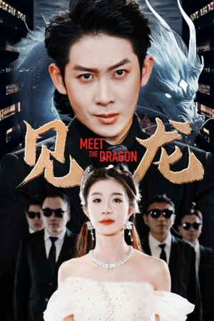 见龙（78集）爆款热门短剧