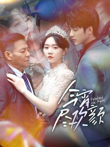 今宵尽欢颜（99集）最新短剧推荐