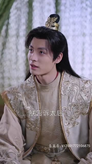 风起萧墙（78集）最新热播短剧