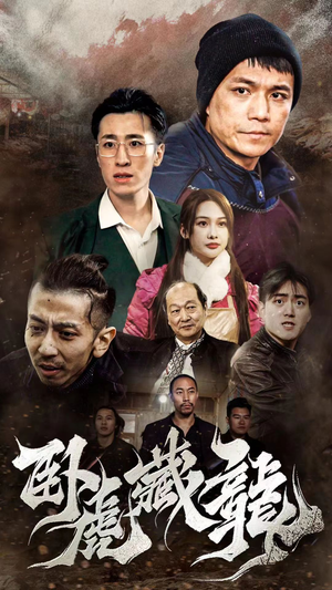 卧虎藏龙（92集）最新热播短剧